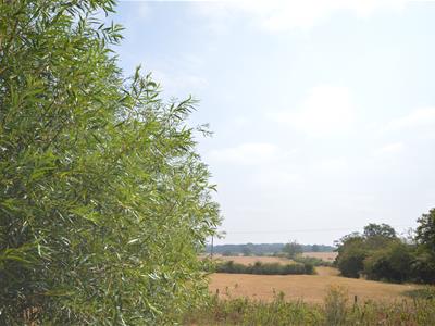 Picture 27